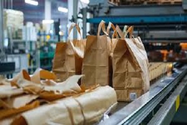 Eco Breakthroughs: Sustainable Materials Transforming the Future of Our Planet